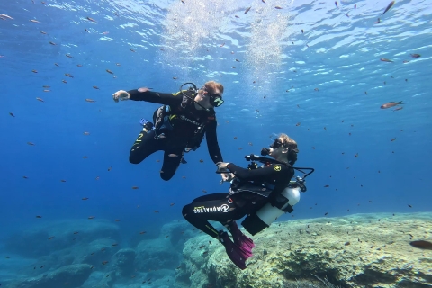 PADI Discover Scuba Diving dla początkujących