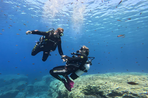 Programa de mergulho autônomo PADI para iniciantes no PeloponesoPADI Discover Scuba Diving para iniciantes