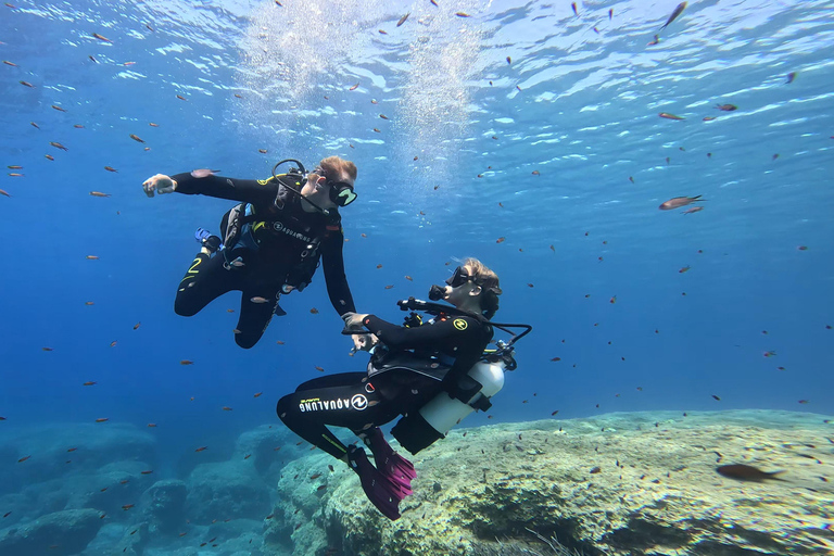 Programa de mergulho autônomo PADI para iniciantes no PeloponesoPADI Discover Scuba Diving para iniciantes