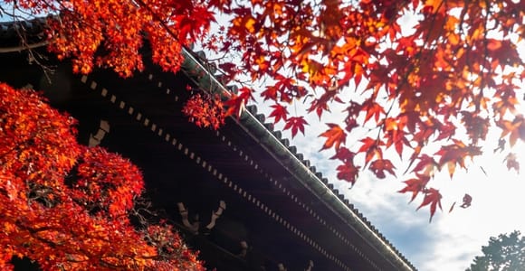 T19 Kyoto: Ginkakuji, Philosopher&#39;s Path, & Temple Tour