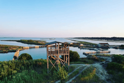 Von Golem/Durres:Divjaka und Karavasta Lagune Jeep Safari