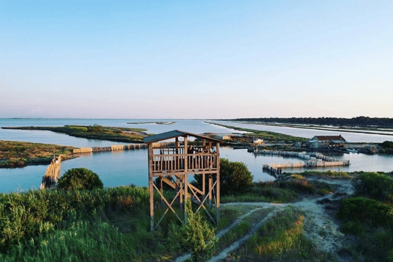 Vanuit Golem/Durres:Divjaka en Karavasta Lagune Jeepsafari