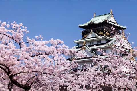 Osaka: aanpasbare tour van 10 uur met privéautoVanuit Osaka: 10-uur durende tour op maat met chauffeur en gids