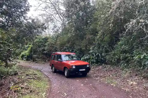 Fra Funchal: Privat østlig eller vestlig jeeptur