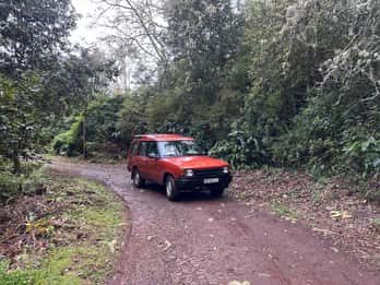 From Funchal: Private Eastern or Western Jeep Tour