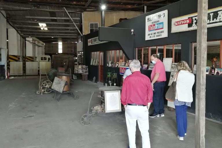 Montevideo: Tour of a century-old urban winery and tasting of 6 wines
