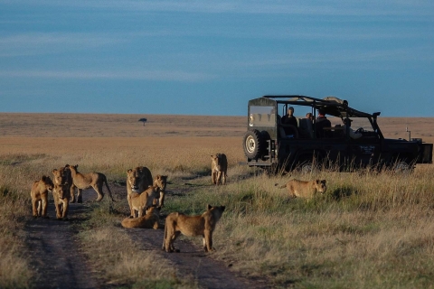 Safari en grupo de 5 días por el Serengeti, el Ngorongoro y el lago Manyara