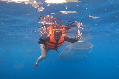 CEBU: Osservazione degli squali balena + Sumilon Sand Bar + Cascate di Tumalog