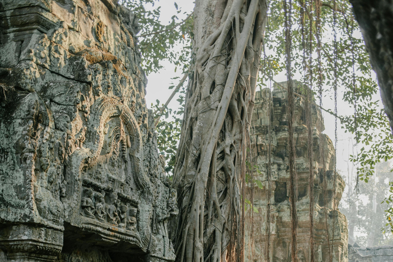 1-Day Angkor Wat Sunrise Small Group Private Tour
