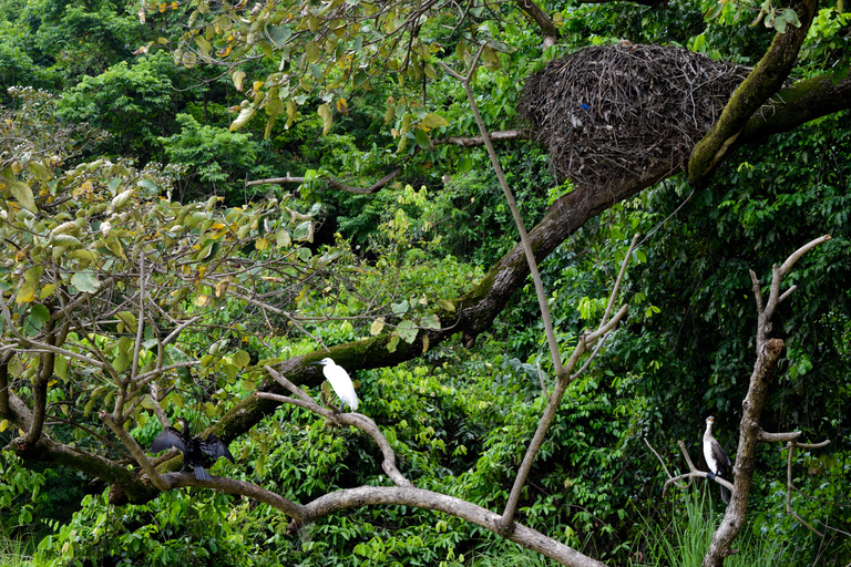 Duluti-See: Kanufahren, Naturwanderung und ExtraKajakfahren, Spaziergang in der Natur und Töpferkurs