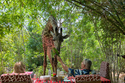 DIANI: EINE MAHLZEIT MIT GIRAFFEN TEILENEINE MAHLZEIT MIT GIRAFFEN TEILEN