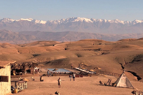 From Marrakech: Agafay Desert Quad Bike, Dinner & Live Show