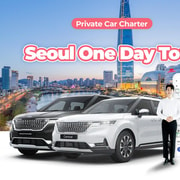 Seoul: Private One Day Car Charter | GetYourGuide