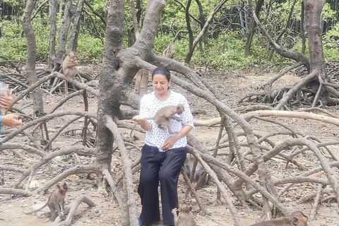 Tour de día completo por el bosque de manglares de Can Gio y la Isla de los Monos