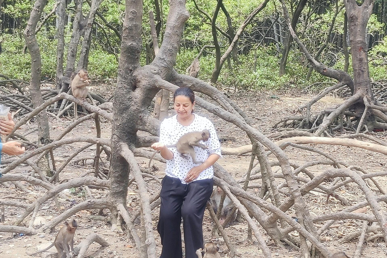 Visite d&#039;une jounée de la forêt de mangroves de Can Gio et de l&#039;île aux singes