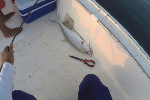 Doha Persian Gulf Sea: Private Fishing Trip with Pick & drop