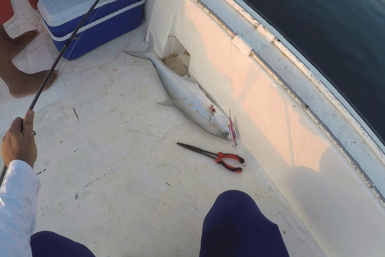 Doha Persian Gulf Sea: Private Fishing Trip with Pick & drop