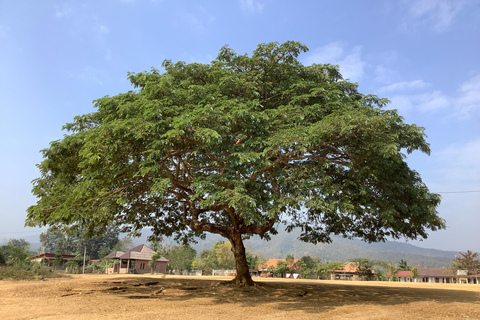 Luang Prabang: Hmong Village + Rafting Day Trip 2km Rafting