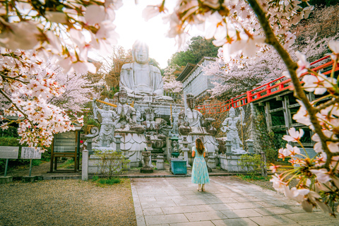 Nara Cherry Blossom Highlights Spring Day Tour from Osaka Shared Tour, Meet at Tsurutontan Soemoncho