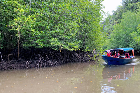 Langkawi Mangrove ontdekkingstocht per boot (Gedeeld)Mangrove Ontdekkingsrondvaart - 4 uur (Gedeeld)