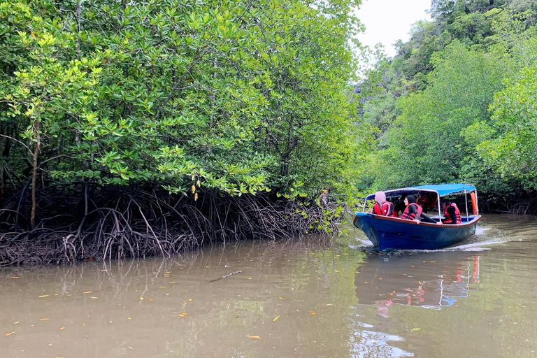 Langkawi Mangrove ontdekkingstocht per boot (Gedeeld)Mangrove Ontdekkingsrondvaart - 4 uur (Gedeeld)