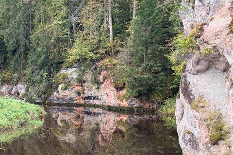From Riga: Cave Latvian Wine Tasting with Private Transfer