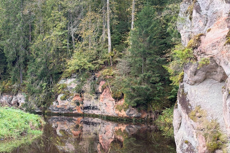 From Riga: Cave Latvian Wine Tasting with Private Transfer