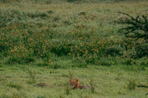 Kigali: Akagera National Park Safari with Boat Cruise