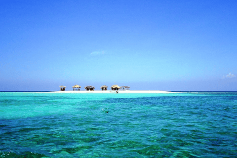 Cayo Arena: Paradijseiland en Mangroves TourSosua of Cabarete