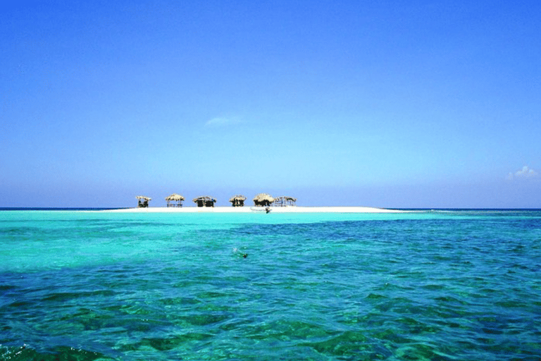 Cayo Arena: Paradijseiland en Mangroves TourSosua of Cabarete
