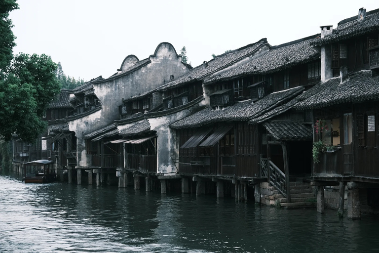From Hangzhou: Wuzhen Water Town Day Trip & Night Lights