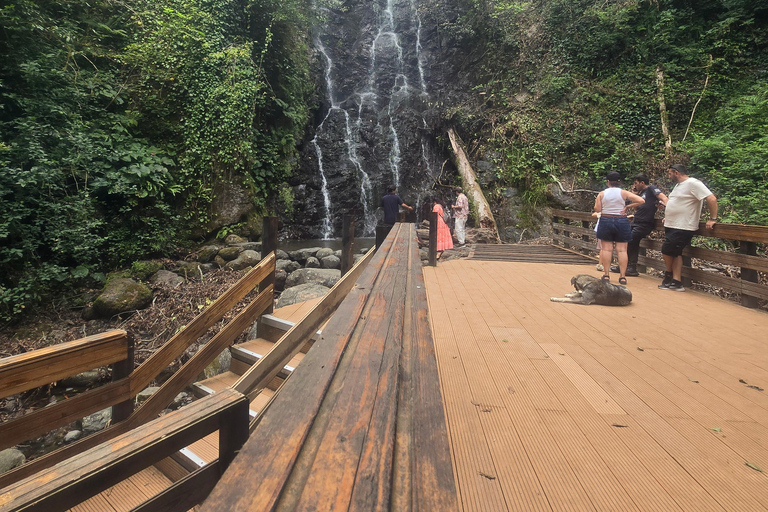 Tour privato di un giorno intero da Batumi alle cascate