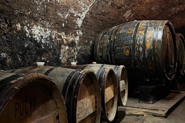 Cata y Visita Pequeñas Bodegas Ecológicas con un Enólogo