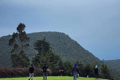 Addis Ababa: Menagesha Suba Forest Park Day Trip