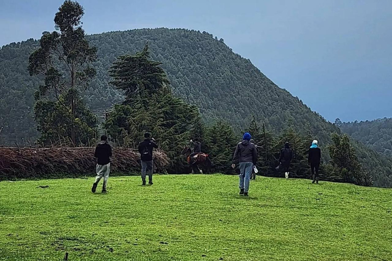 Addis Ababa: Menagesha Suba Forest Park Day Trip
