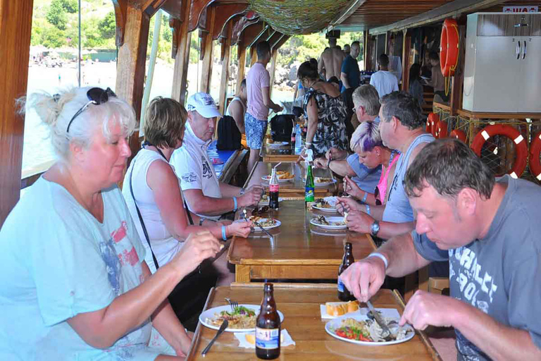 Sida: Dolphin Island båttur, lunch, Sotf-drycker och simningDelphin båttur med lunch och softdrinkar