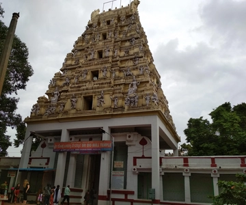 Bangalore: Private Half-Day Sightseeing Tour
