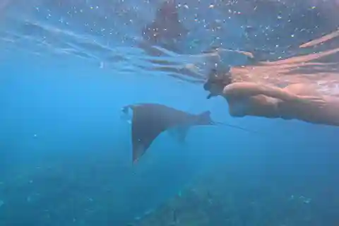 From Lembongan: Nusa Penida Private Snorkeling & West Tour