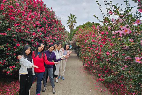 Jeju Customize Private VAN day Tour 9 horas (até 8 pessoas)