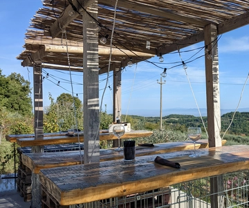 Montepulciano: Degustazione di vini eroici artigianali alla Terrazza