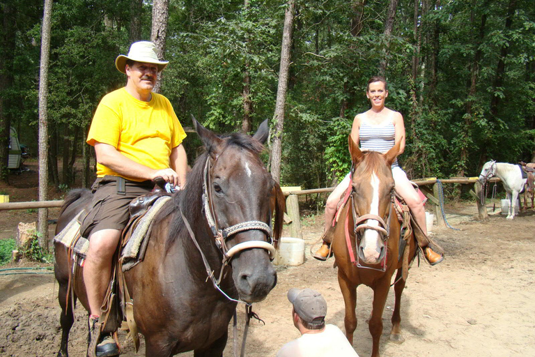 Flamingo's River Camel Ride with Tea