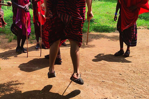 ZANZIBAR: Mnemba Island Dolphins & Maasai Village Experience