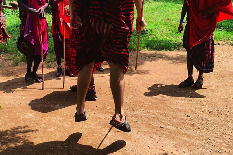 ZANZIBAR: Mnemba Island Dolphins & Maasai Village Experience