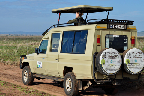 Day trip to Tarangire National Park