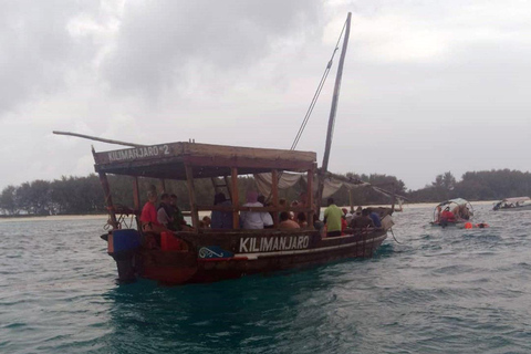 Zanzibar: Snorkeling sull&#039;isola di Mnemba e avventura con i delfini