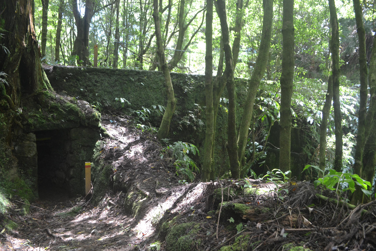 Sao Miguel Hike to Janela do Inferno and Lagoa do Fogo