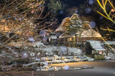 Hida: Snow Playground & Illuminated Gassho Village Day Trip