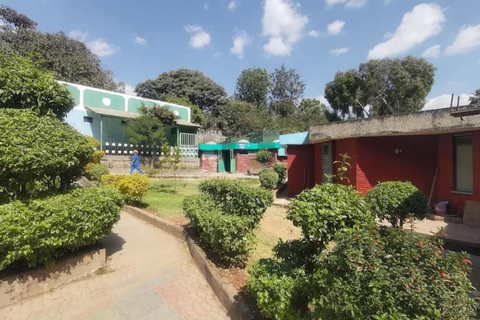 Addis Ababa: Origins Tour with Springs & Entoto Hills