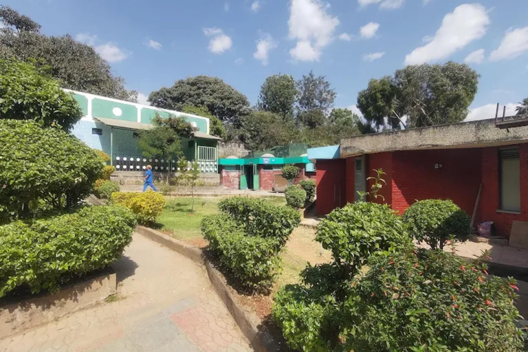 Addis Ababa: Origins Tour with Springs & Entoto Hills