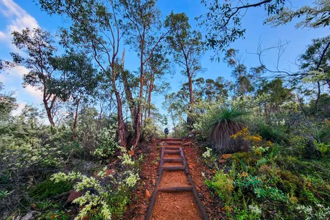 Perth: John Forrest Waterfalls, Wandoo & Wildflowers